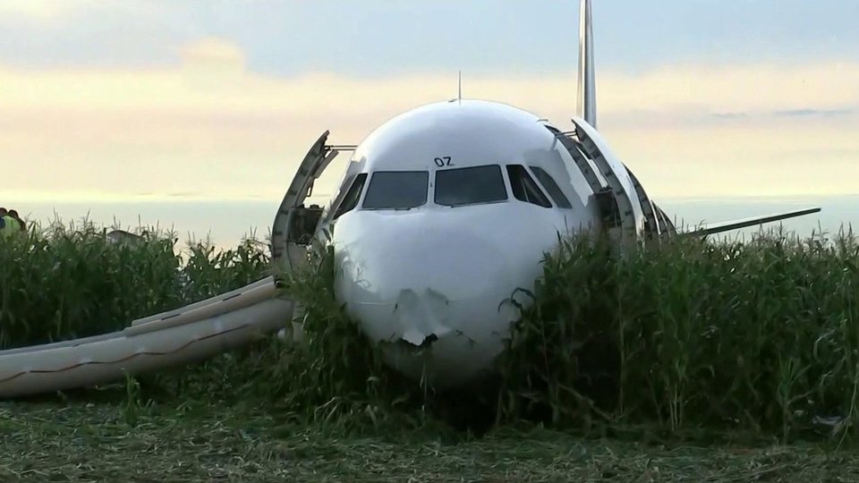 Самолет упал в кукурузное. Аварийная посадка a321 под Жуковским. Самолёт на кукурузном поле. Август 2019 самолет на кукурузном поле. Аварийная посадка под Жуковским в 2019.