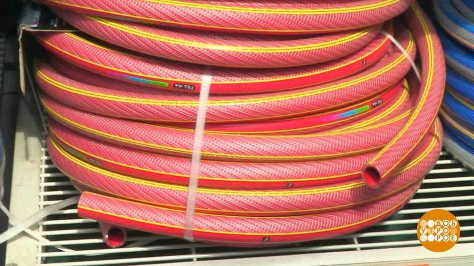 Шланг: диаметр имеет значение. Доброе утро. Фрагмент выпуска от 19.08.2020