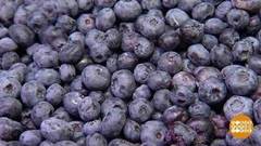 Голубика — «молодильная» ягодка. Доброе утро. Фрагмент выпуска от 20.08.2020