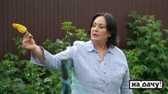 На дачу! Выпуск от 23.08.2020