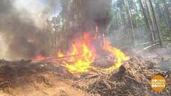 Вы жжете граждане! Поаккуратнее! Доброе утро. Фрагмент выпуска от 28.08.2020