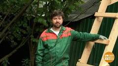 Безопасная лестница. Доброе утро. Фрагмент выпуска от 28.08.2020