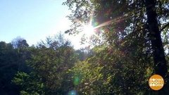 Поймаем лето за хвост! Доброе утро. Фрагмент выпуска от 31.08.2020