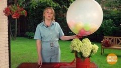 Школьный букет из своего сада. Доброе утро. Фрагмент выпуска от 30.08.2020