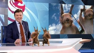 Белки и Кирилл Клейменов. К 25-летию Первого канала