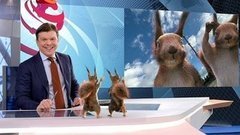 Белки и Кирилл Клейменов. К 25-летию Первого канала