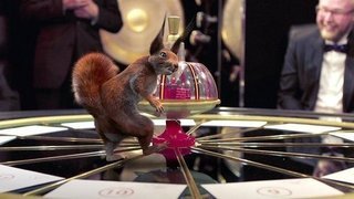 Белки и Что? Где? Когда? К 25-летию Первого канала