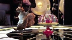 Белки и Борис Крюк. Что? Где? Когда? К 25-летию Первого канала