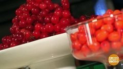 Хит-парад осенних ягод. Доброе утро. Фрагмент выпуска от 11.09.2020