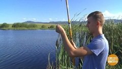 Особенности рыбалки в осенний период. Доброе утро. Суббота. Фрагмент выпуска от 12.09.2020