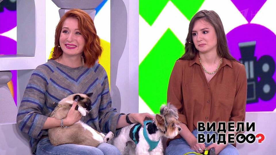 Без кота и жизнь не та! Видели видео? Часть 1