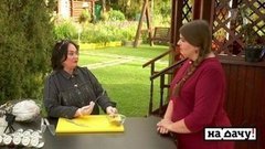 На дачу! Выпуск от 13.09.2020