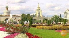 Цвети, ВДНХ! Доброе утро. Фрагмент выпуска от 14.09.2020