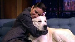 Телеканал СПА с Иреной Понарошку. Вечерний Ургант. Фрагмент выпуска от 14.09.2020