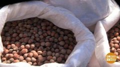 Вот вам на орехи! Доброе утро. Фрагмент выпуска от 23.09.2020