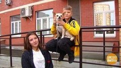 Чтобы было по-соседски! Доброе утро. Фрагмент выпуска от 07.10.2020