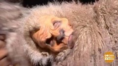 В мире. Парк ужасов. Доброе утро. Фрагмент выпуска от 16.10.2020