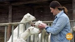 До свиданья, город! Здравствуй, деревня! Доброе утро. Фрагмент выпуска от 16.10.2020