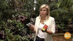 Сколько жемчуга в... креме? Доброе утро. Фрагмент выпуска от 23.10.2020 