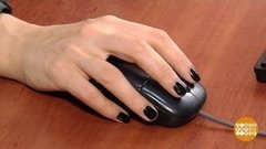 Офис: мышки грязи не боятся? Доброе утро. Фрагмент