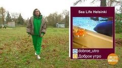 Окунь, ты не одинок! Доброе утро. Суббота. Фрагмент