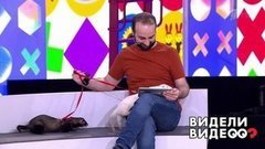 Хорьки-суперагенты, собачка-помощница, какаду с нежной душой. Видели видео? Часть 1