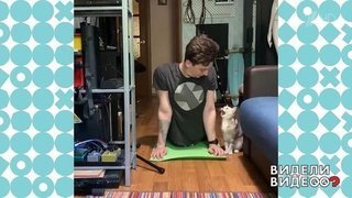 Кошка против йоги. Видели видео? Фрагмент