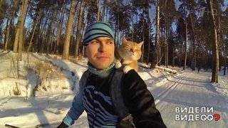 Кот катается на лыжах. Видели видео? Фрагмент