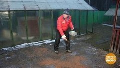 Гололед. Дмитрий Талабуев любит погорячее. Доброе утро. Фрагмент 