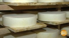 Сыры-юнцы и сыры-дедушки. Доброе утро. Фрагмент 