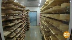 Голландский сыр, ты откуда? Доброе утро. Фрагмент 