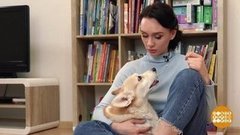 Перевод с собачьего и кошачьего. Доброе утро. Фрагмент 