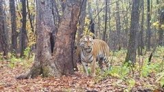 Улыбнитесь, звери, вас снимают! Доброе утро. Фрагмент 