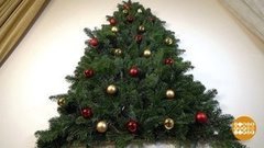 Настенная елка. Доброе утро. Суббота. Фрагмент