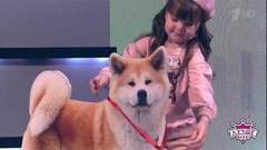 Мини-собаковед Василиса Коротеева. Лучше всех! Фрагмент