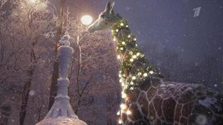 Встречаем Новый год по-новому! Жираф и белка слепили снежную башню