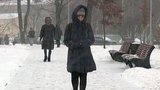 Под натиском циклона «Грета» Москву накрыло снегопадами