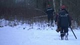 В Псковской области около 4,5 тысяч человек остаются без света