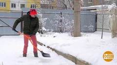 В саду всегда работа найдется! Доброе утро. Фрагмент