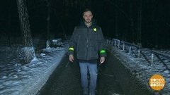 Пешеход, выйди из сумрака! Доброе утро. Фрагмент  