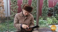 Реклама в интернете. Верить или нет? Доброе утро. Фрагмент 