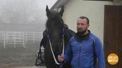 Следствие ведут… наездник, байкер, кондитер. Доброе утро. Фрагмент 