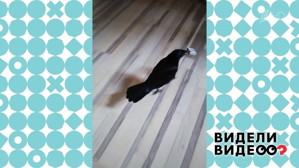 Видели видео рутуб. 22. Видели видео картинки. Видели видео рутуб. Видели видео участники программы.
