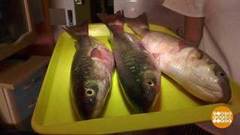 Пельмени всякие нужны, пельмени разные важны. Доброе утро. Фрагмент 