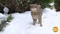 Январь кончается – дачный сезон начинается! Доброе утро. Фрагмент 