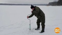 Время спасать карасиков. Доброе утро. Фрагмент 