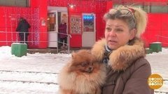 "Сумочку откройте": а это законно? Доброе утро. Фрагмент 