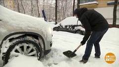 Снегопад – уважительная причина? Доброе утро. Фрагмент 