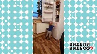 Неравный бой с холодильником. Видели видео? Фрагмент