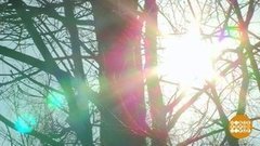 Весна идет, весне дорогу! Доброе утро. Фрагмент 